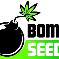 B O M B Cannabis  Seeds  M A S T E R  L O G O 1